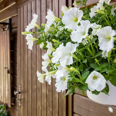 An Der Abzucht Goslar